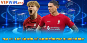 Play Off Là Gì - Tìm Hiểu Cụ Thể Về Play Off Cho Người Mới 